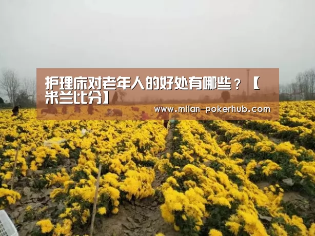 米兰平台