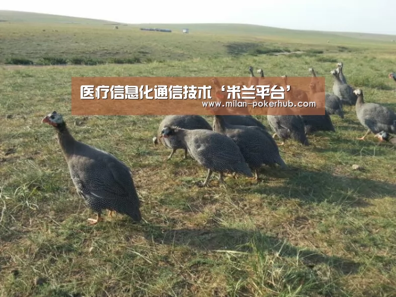 米兰官网